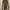 Knit  photo 1