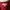 Love bonito long jumpsuit maroon photo 3