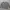 CREWNECK MARKUS LUTFER ORIGINAL 100% photo 1