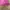 Blazzer Pink Suburban Y2K photo 7