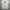 kaos Ariana Grande Sweetener Official Tee Tour photo 5
