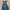Overalls UO2 photo 3