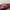 Gucci Vintage Luxury Tote bag Wanita burgundy tan photo 8