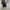 Tory Burch Luxury Handbag Wanita black photo 5