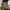Beyond The Vines Cruch Carryall photo 1
