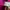 Jaket Outdoor Wanita Pink Seomsehan Anti Air Untuk Hiking photo 4