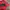 Y2K Sportswear Jersey Pria red black photo 4