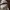 ZARA Lolita Casual Summer dress Wanita white photo 3