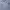 boxy. photo 3