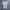Knit Rajut Lidi Lidi Pres Body/Inner Dalaman photo 3