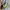 Burberry Graffiti Logo Sweatshirt Crewneck photo 8