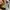 Burberry Graffiti Logo Sweatshirt Crewneck photo 6