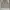 Hoodie nike senter photo 1