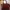 LANCETTI Leather Handbags Italy Brand Colour : Maroon 