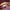 LANCETTI Leather handbags Italy brand colour : Maroon  photo 7