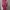 Maxi dress photo 1