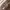 Carhartt Carpenter Original Fit - Dark Brown   photo 5