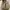 Sneakers  Adidas Nmd Human Race