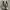 Sneakers  Adidas Nmd Human Race photo 1