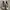 Sneakers  Adidas Nmd Human Race