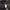 Dress Yakuza Wanita Cantik Seksi Cosplay photo 1
