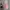 Dress Anak Perempuan  photo 2