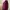 Tas Kate Spade Wallesley Hanna Sling Bag photo 7