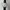 Seiko Luxury Vintage Pria silver white photo 1