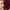 Semi Dress Maroon photo 3
