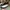 VANS SLIP ON SKATEBOARD photo 2
