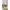 AUTHENTIC MLB San Diego Padres Home Pinstripe photo 4