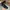 VANS MARRY JANE STAR BLACK photo 1