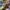 TIMBERLAND HOMMES BOOTS A1ODR, TIMBERLAND HOMMES , TIMBERLAN photo 6