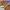 TIMBERLAND HOMMES BOOTS A1ODR, TIMBERLAND HOMMES , TIMBERLAN photo 8