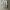 Kaos / T-Shirt Boxy Oversize Korea "Follow" Second photo 1