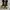 Sepatu Rick Owens Shoes Drkshw Goth Grunge