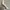 Luxury Heels Wanita cream photo 4