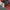 Adidas Casual Track jacket Pria red gray photo 4