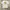 MarkGonzales White Tshirt photo 1