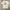 MarkGonzales White Tshirt