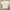 MarkGonzales White Tshirt photo 2