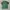 paccbeth tshirt  photo 1