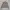 Mullo Double Zipper Blouson Jacket 