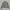 Mullo Double Zipper Blouson Jacket 