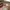 Longchamp Papier AUTHENTIC! MEDIUM photo 2