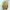 [BONUS KAOS KAKI OLDSCHOOL] PARKA JAKET LONG COAT SORMEUS