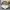 Topi Snapback New Era Outlast NASA (Medium-Large) photo 5