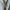 Guess Jeans LOT 012101517 Bootcut Leg W33 L32 photo 7