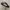 Extremely Rare Adidas Superstar Leather Black White photo 1