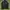 Tracktop Adidas Firebird Black/White photo 1